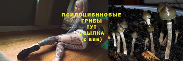 мескалин Липки