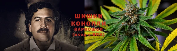 гидра Лиски