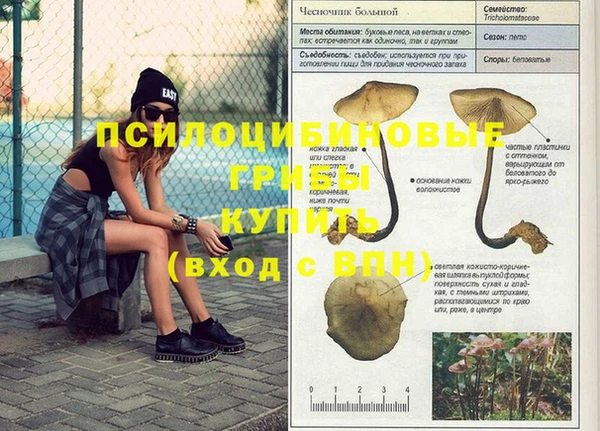 гидра Лиски