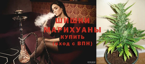 гидра Лиски